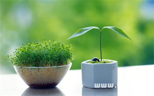 善於提升職場知名度的星座_十二星座