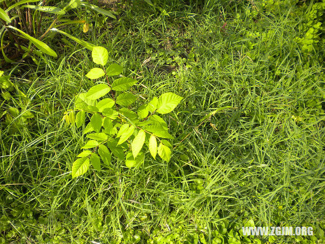 夢見強姦幼女_周公解夢夢到強姦幼女是什麼意思_做夢夢見強姦幼女好不好_周公解夢官網