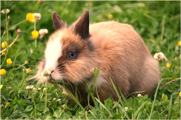 夢見來月經弄髒床單有什麼寓意嗎_周公解夢官網