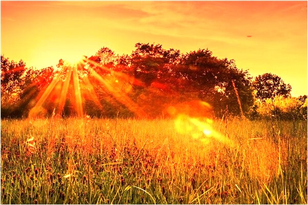 夢到跟姐妹逛街我一邊哭一邊罵是什麼預兆_周公解夢官網