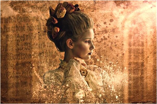 夢見鳥叼蝴蝶有什麼徵兆_周公解夢官網