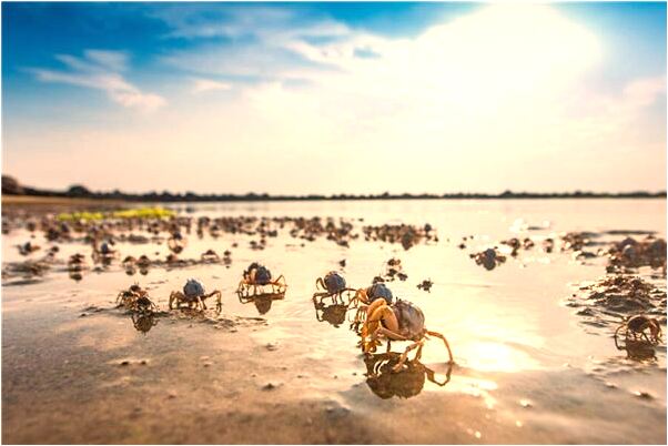 夢見和好友吃飯是什麼徵兆_周公解夢官網