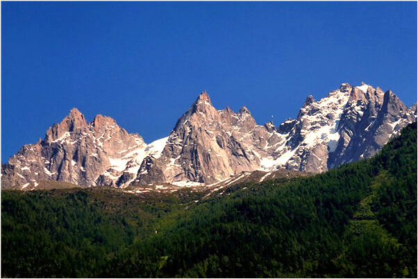 夢到樹上結櫻桃意味著什麼_周公解夢官網