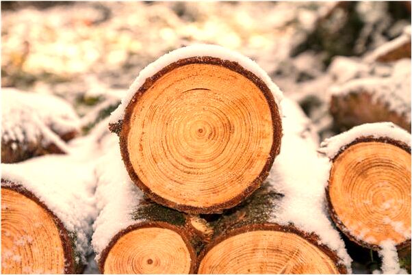 夢到了棗樹上接葡萄代表什麼_周公解夢官網