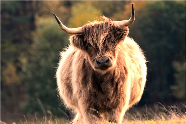 夢到了跟老公糾結是什麼兆頭_周公解夢官網