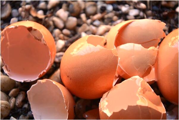 夢到別人給我倆張照片怎么回事_周公解夢官網