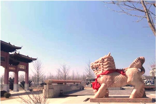 夢見貓撲身會是什麼預兆_周公解夢官網