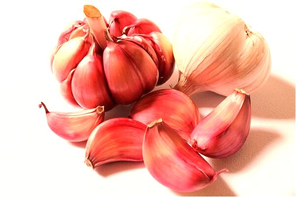 夢到了和唐弟一起放風箏預示著什麼_周公解夢官網