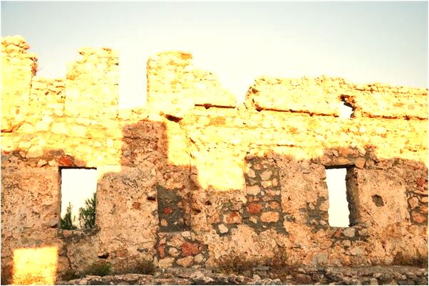 夢到騎草泥馬是好事還是壞事_周公解夢官網