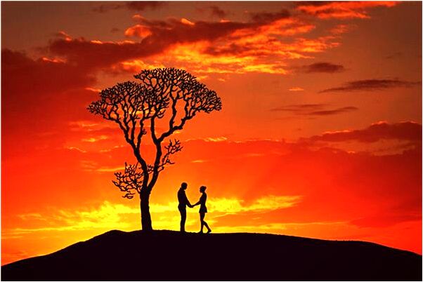 夢到老鼠和蛇怎么回事_周公解夢官網