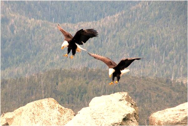 夢到了找別人男朋友是啥預兆_周公解夢官網