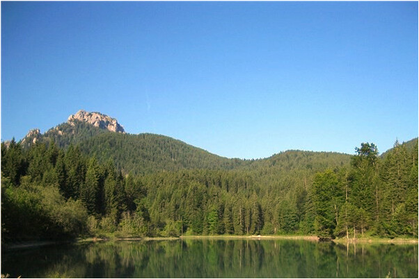 夢見老公拋棄我了什麼寓意_周公解夢官網