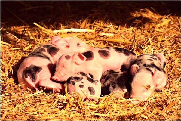 夢見我女兒第一次來月經啥意思_周公解夢官網