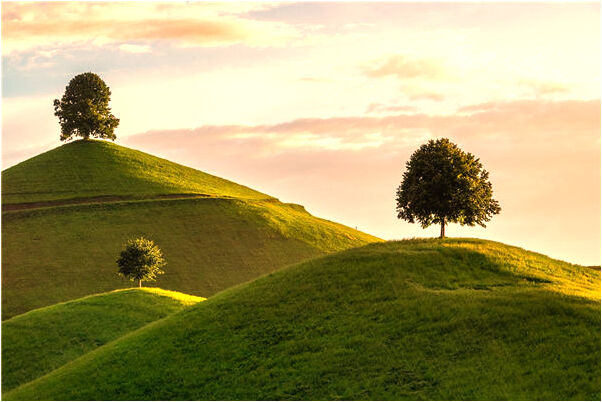 夢到蒙古人預示什麼_周公解夢官網