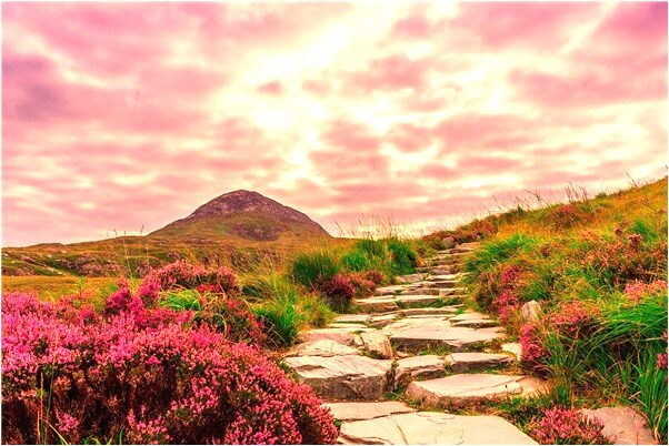 夢到同學打電話給我是怎么回事_周公解夢官網