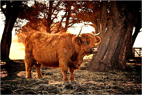 夢見女孩子愛上我了是好是壞_周公解夢官網