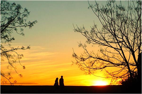 夢見食草恐龍預示什麼_周公解夢官網