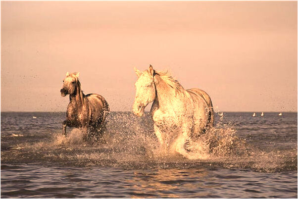 夢到了屎粑粑沾在自己手上有什麼徵兆_周公解夢官網