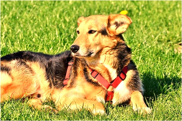 夢見和死去的父親牽手說話有什麼說法_周公解夢官網