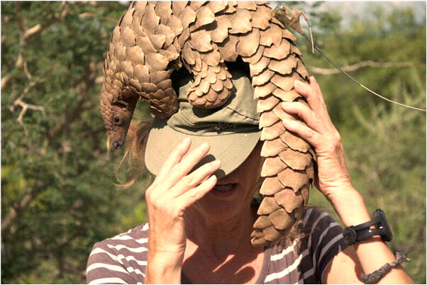 夢見腳踩月經紙是什麼兆頭_周公解夢官網