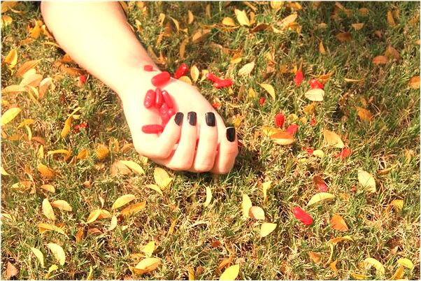 夢見鍋里蒸的紅棗掉在地上是啥意思_周公解夢官網