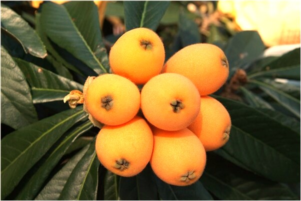 夢到了唐山大地影訊有什麼含義_周公解夢官網