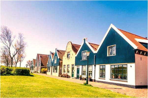 夢到抓小雞預示了什麼_周公解夢官網