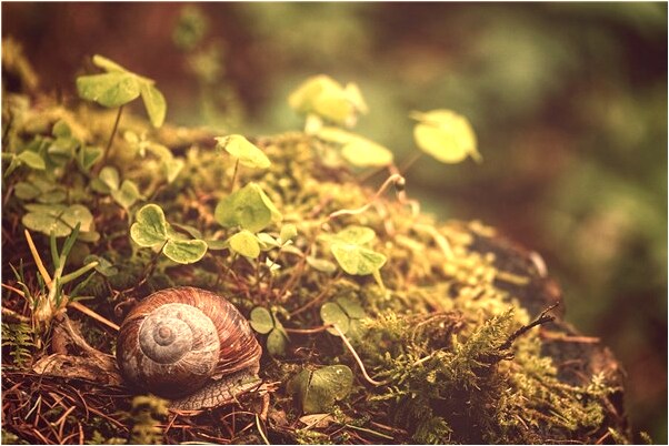 夢到了穿大衣服是什麼徵兆_周公解夢官網