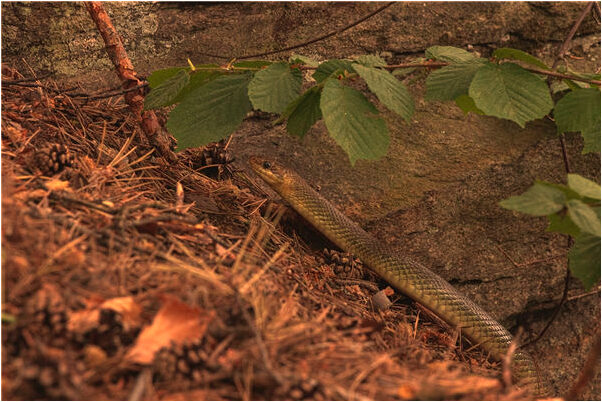 夢到水管壓力很大外噴是什麼徵兆_周公解夢官網