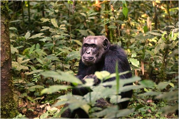 夢見與親家會見會怎么樣_周公解夢官網