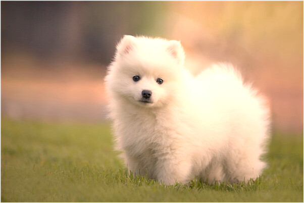 夢到自己小孩被咬出血代表著什麼_周公解夢官網