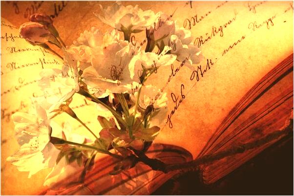 夢到和一個伯生男人吵架是吉兆嗎?_周公解夢官網