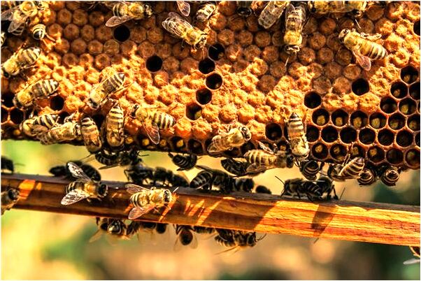 夢見皮鞋破洞了是什麼意思？_周公解夢官網