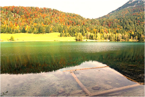 夢到找不到香菸意味著什麼_周公解夢官網