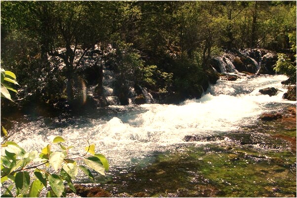 夢到點香燭是什麼兆頭_周公解夢官網