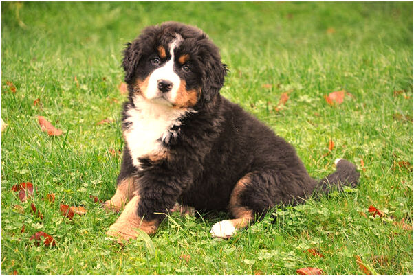 夢到夢跟情人衣服脫光是什麼預兆_周公解夢官網