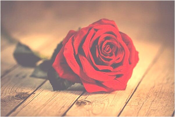 夢到死人的靈翻有什麼寓意嗎_周公解夢官網