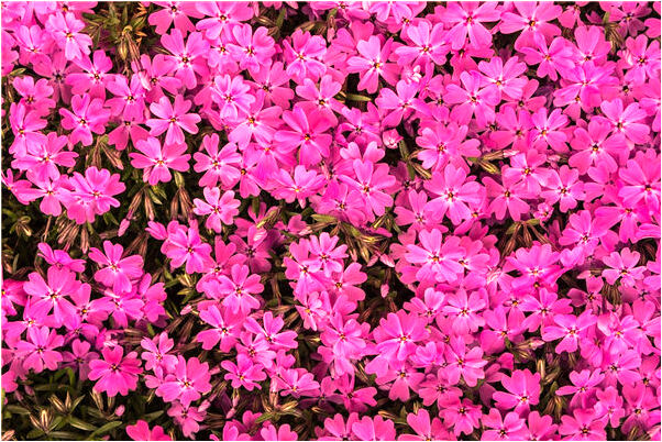 夢到了下雨天跟別的男人做愛有什麼意思_周公解夢官網