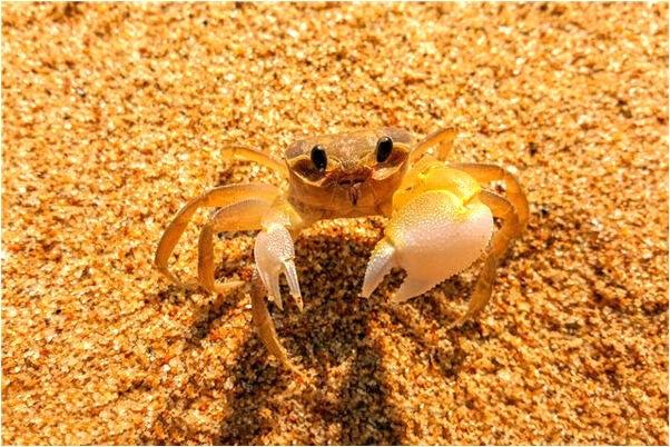 夢到了自己揉面會有什麼預兆_周公解夢官網