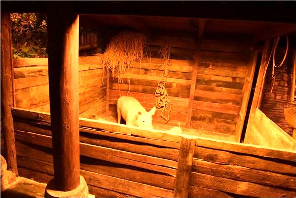 夢見弟弟手出血有什麼意義嗎_周公解夢官網