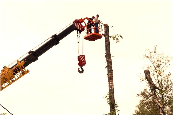 夢見鐵門掉漆是咋回事_周公解夢官網