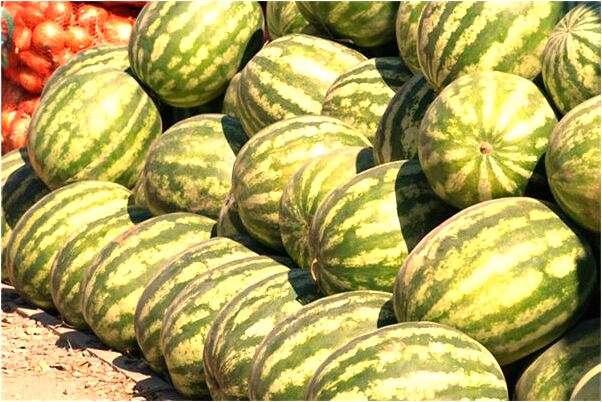 夢到了坐車嘔吐有何寓意_周公解夢官網