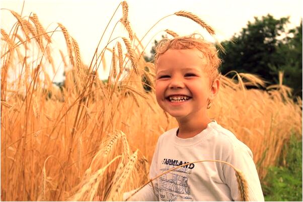 夢見找別人借錢是什麼兆頭_周公解夢官網