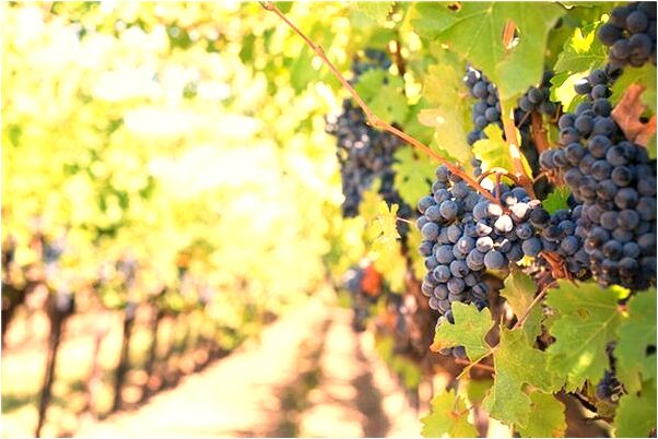 夢到了等女兒回家夜晚有什麼徵兆_周公解夢官網