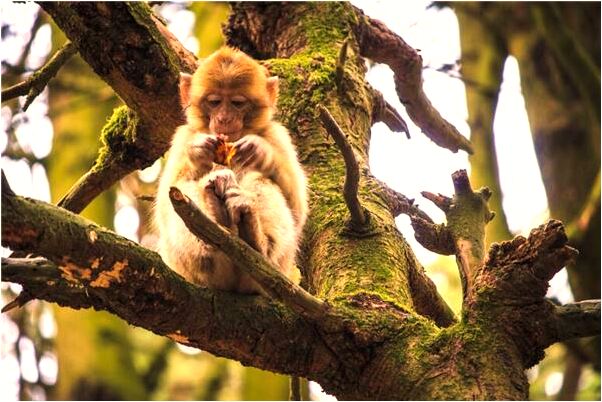 夢到了死了的媽和說話代表著什麼？_周公解夢官網