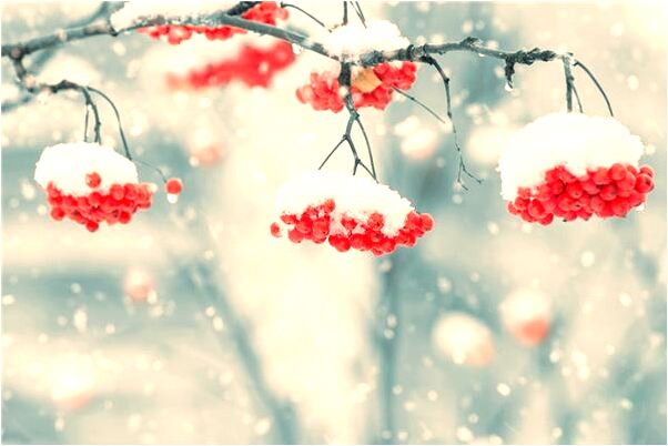 夢到飯盒丟了會是什麼預兆_周公解夢官網