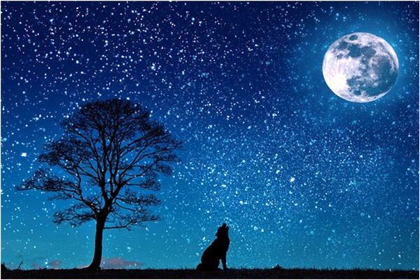 夢見來到一個紙醉金迷的世界預兆了什麼嗎_周公解夢官網