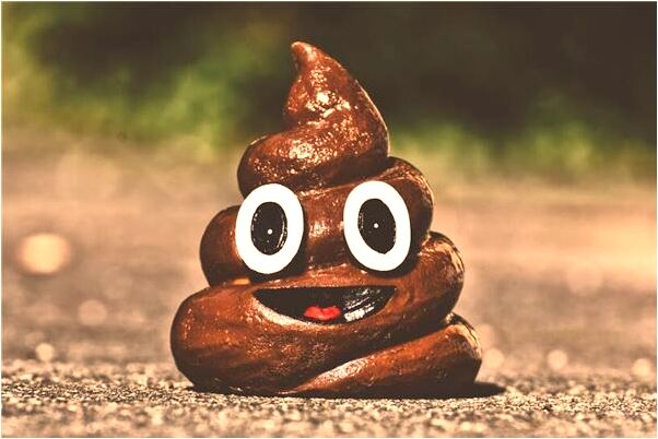 夢到了樹冬天長葉子的預兆_周公解夢官網