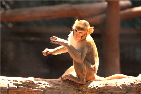 夢見我談對象時男孩給我錢有什麼說法_周公解夢官網