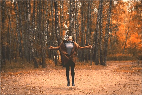 夢到了自己買車了但不會開是什麼預兆？_周公解夢官網